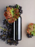 Frank BRUNET D'AUBIAC - FBAP SARL