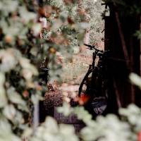 Laurent DOURRIEU - Horchamp